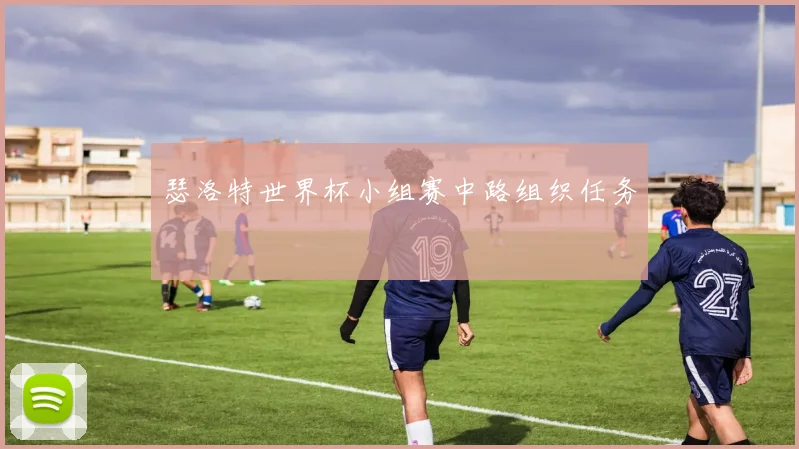 瑟洛特世界杯小组赛中路组织任务