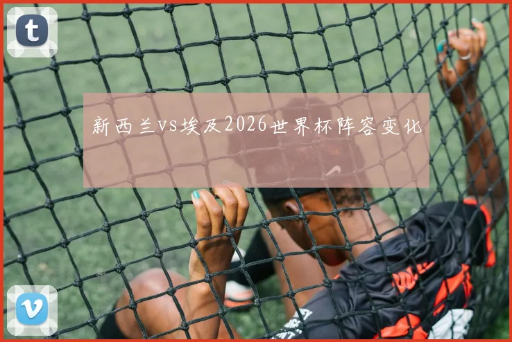 新西兰vs埃及2026世界杯阵容变化