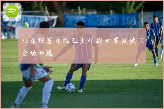 帕尔默塞尔维亚生死战世界波破门全场沸腾