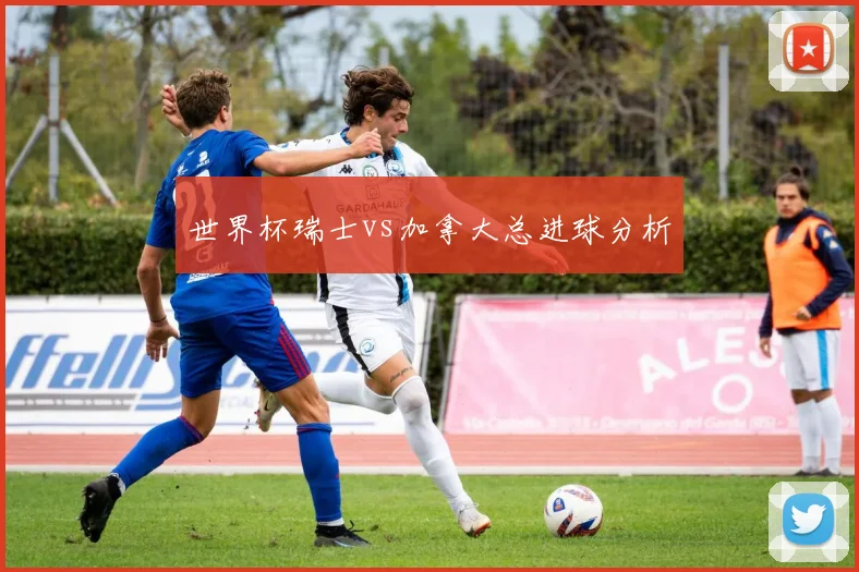 世界杯瑞士vs加拿大总进球分析