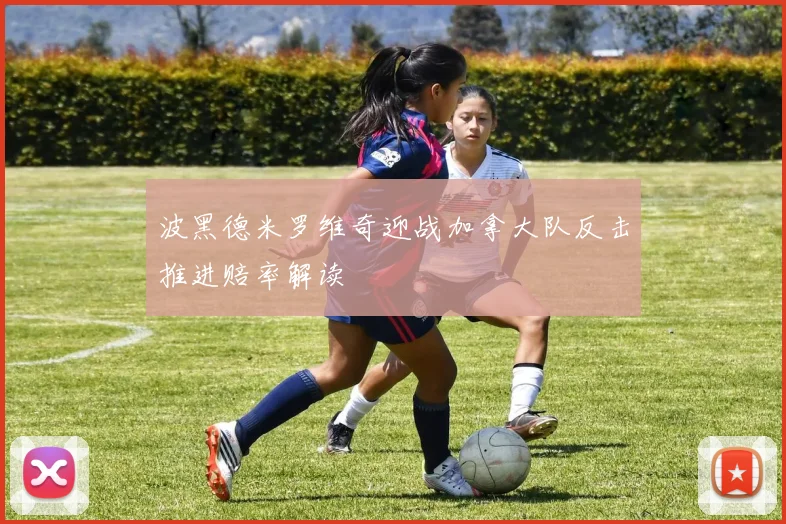 波黑德米罗维奇迎战加拿大队反击推进赔率解读