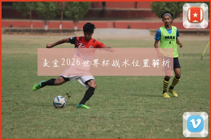 麦金2026世界杯战术位置解析