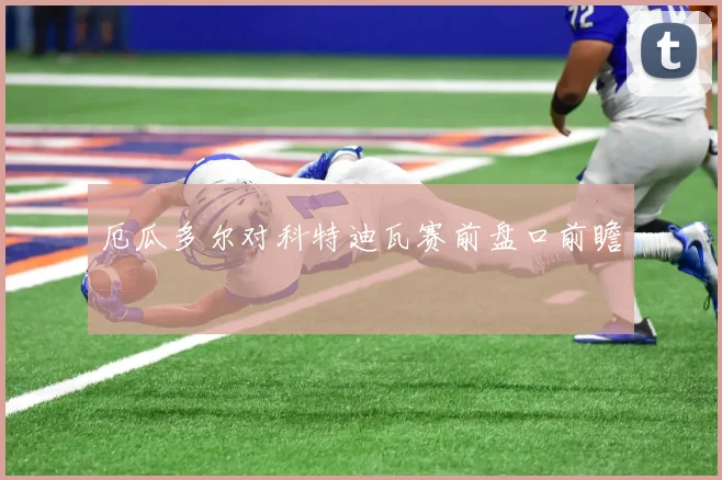 厄瓜多尔对科特迪瓦赛前盘口前瞻