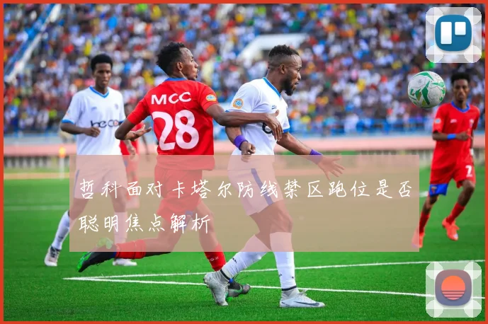 哲科面对卡塔尔防线禁区跑位是否聪明焦点解析