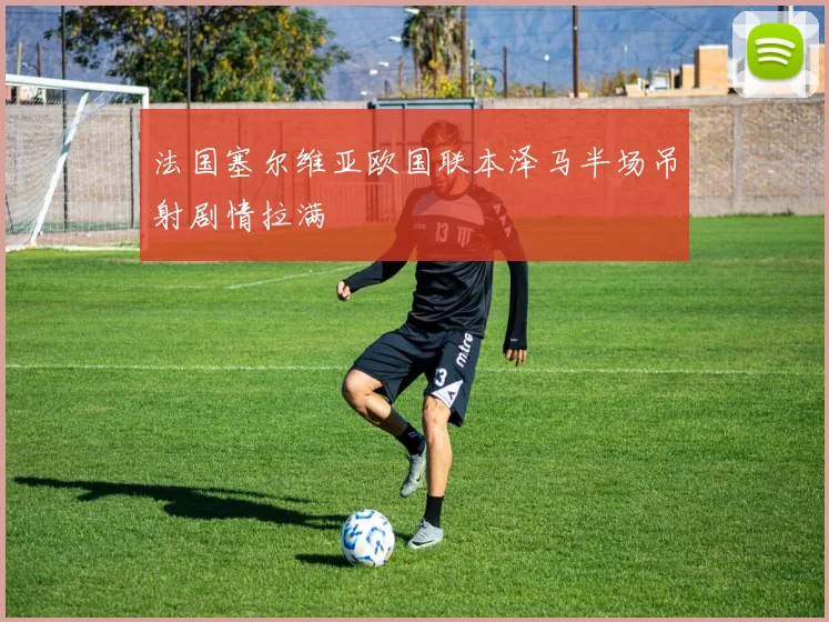 法国塞尔维亚欧国联本泽马半场吊射剧情拉满