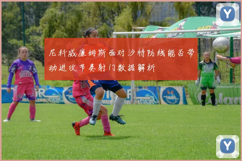 尼科威廉姆斯面对沙特防线能否带动进攻节奏射门数据解析