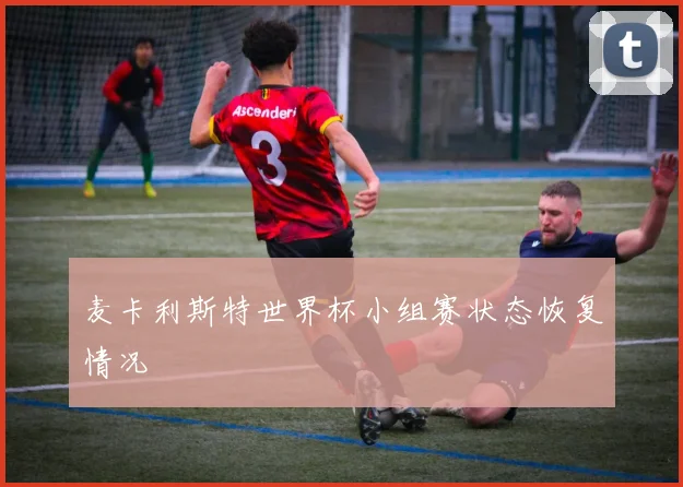 麦卡利斯特世界杯小组赛状态恢复情况