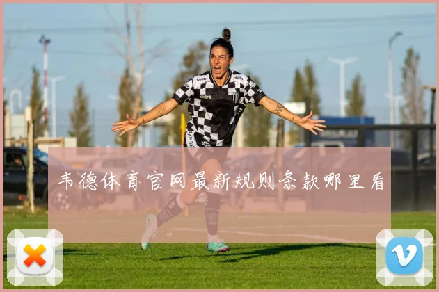 韦德体育官网最新规则条款哪里看